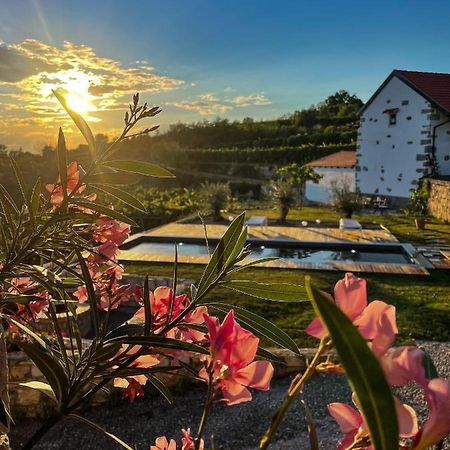 Skerlj Wine Estate Konuk evi Tomaj Dış mekan fotoğraf