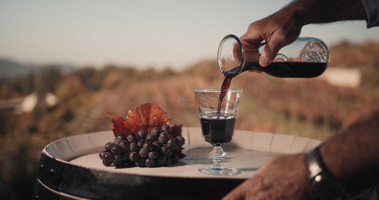 Skerlj Wine Estate Konuk evi Tomaj Dış mekan fotoğraf