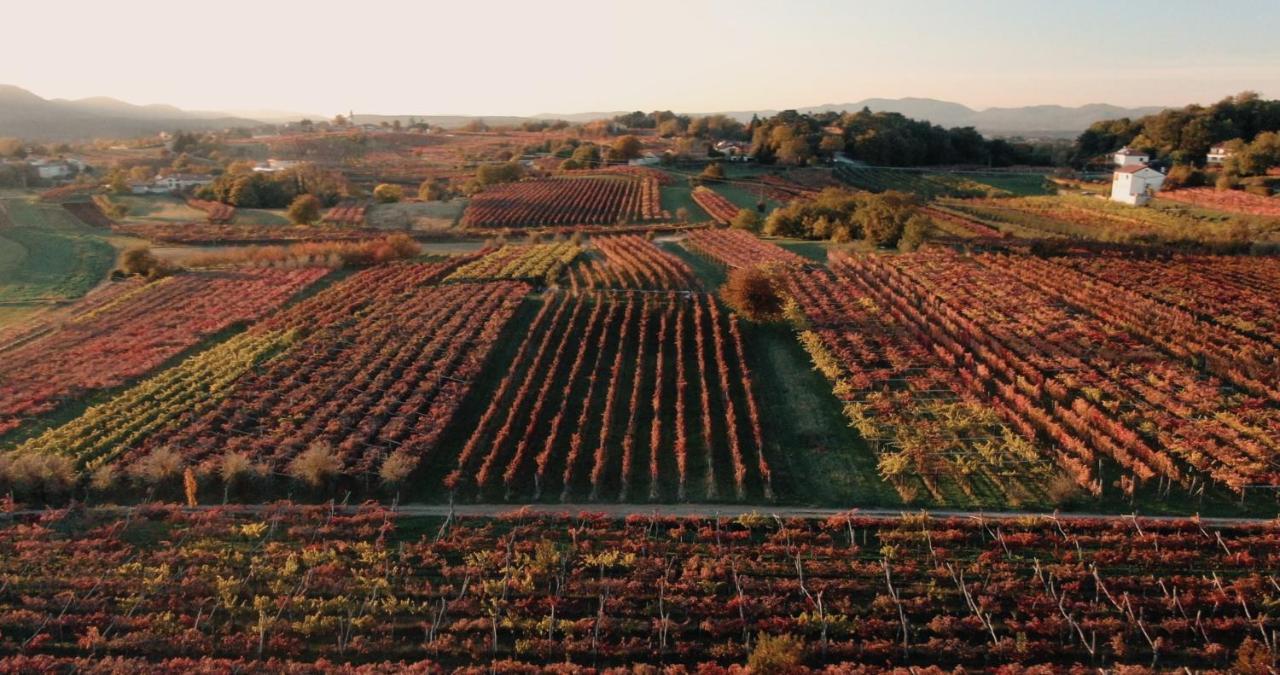 Skerlj Wine Estate Konuk evi Tomaj Dış mekan fotoğraf