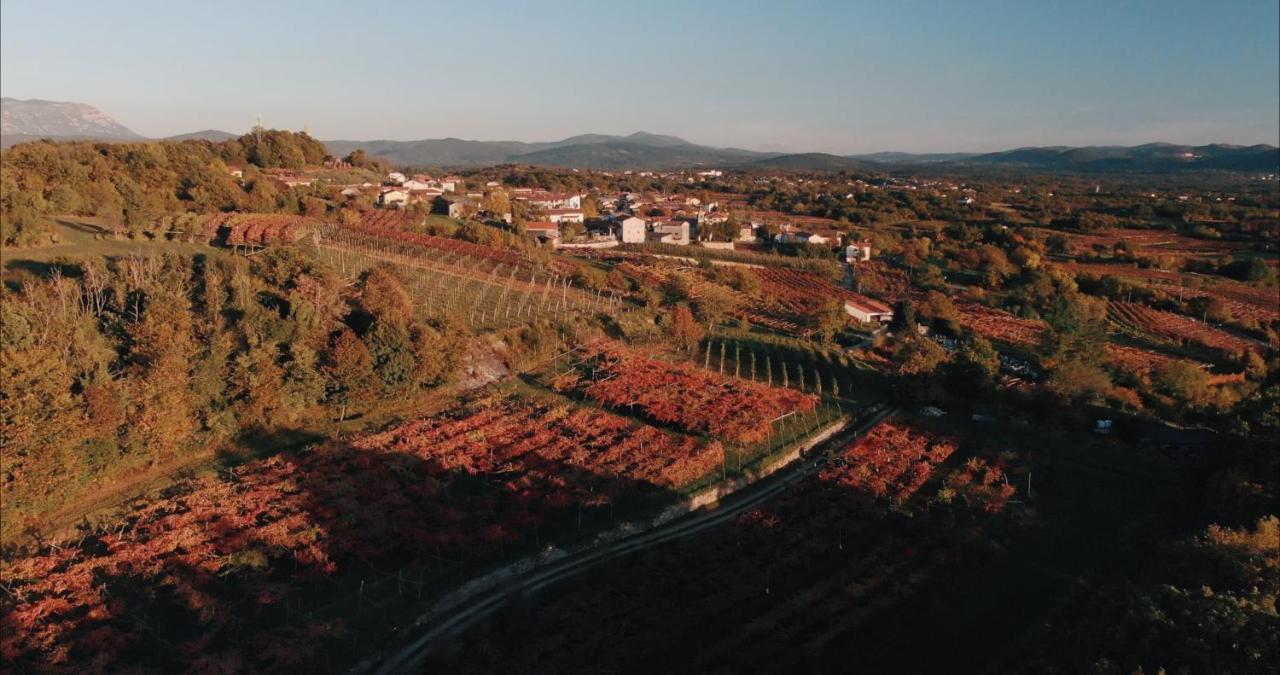 Skerlj Wine Estate Konuk evi Tomaj Dış mekan fotoğraf