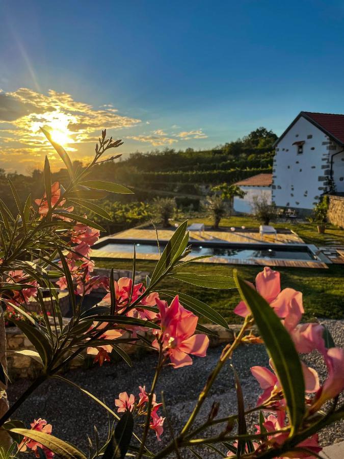 Skerlj Wine Estate Konuk evi Tomaj Dış mekan fotoğraf