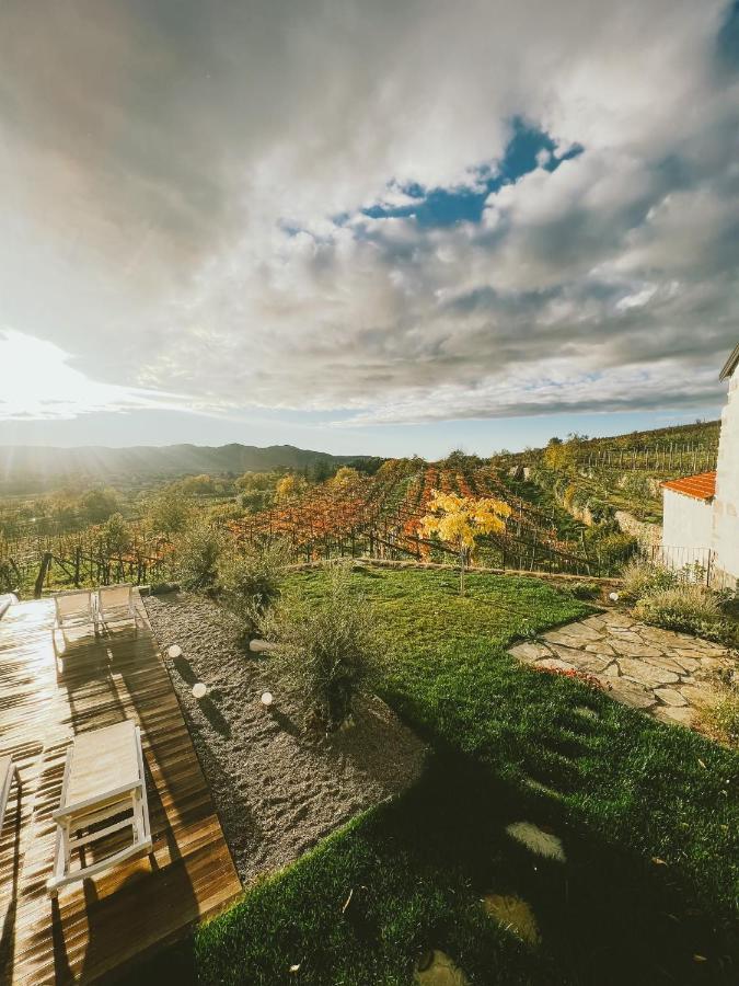 Skerlj Wine Estate Konuk evi Tomaj Dış mekan fotoğraf